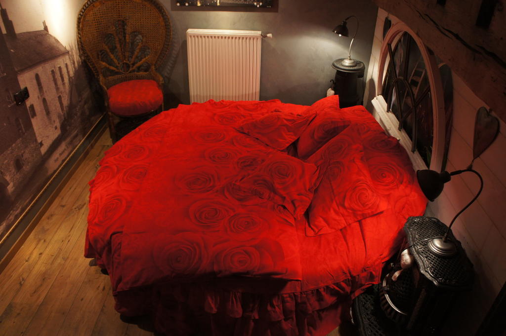 Bed and Breakfast Aux Logis De La Solre Ferrière-la-Petite Habitación foto